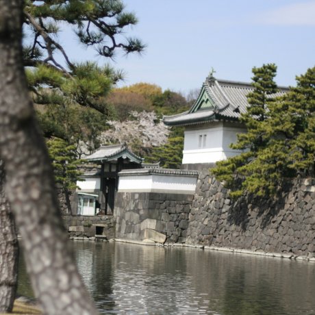 Imperial Palace di Tokyo