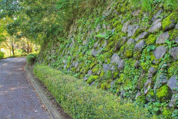 <p>Walk along a stone wall with mosses and ferns</p>