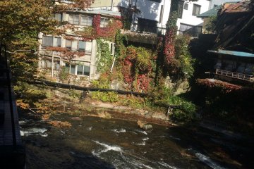 <p>The river outside of our hotel and the autumn leaves changing colors.</p>