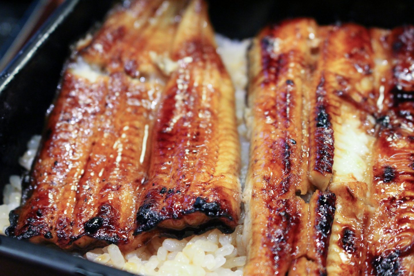 Jo-unaju (grilled eel on rice)