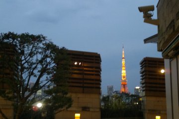 <p>Sparkling Tokyo Tower from one of the Hillsides.</p>