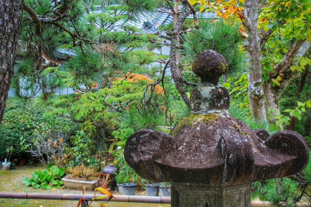 Kebun kuil di Zuiho-ji memiliki detail yang indah untuk difoto