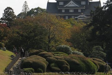 Вид на замок Окаямы из сада Коракуэн
