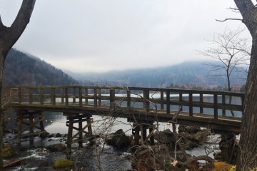 เดินข้ามสะพานไปยังเส้นทางเดินป่า