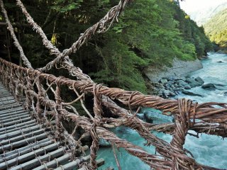 Weighing approximately 5 tons, the Iya-no-Kazurabashi is 45 meters across, 2 meters wide, and is 15 meters above the river.