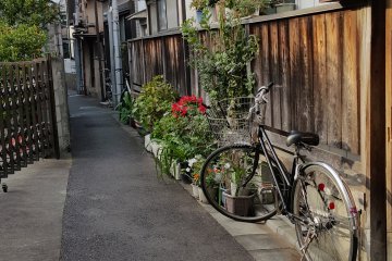 <p>전형적인 옛 동네의&nbsp;한가로운 풍경. 마당을 대신해 조르륵 놓여 있는 정갈한 화분과 최고의 대중교통수단인 자전거.</p>