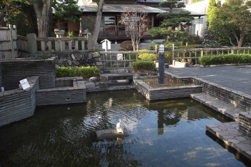 <p>The pond in front of the teahouse</p>