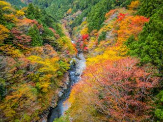 Looking out eastward towards the impressive and colorful Sogaku Ravine