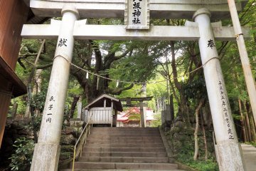 <p>Entrance to the grounds is &yen;200 for adults, &yen;100 for children.</p>