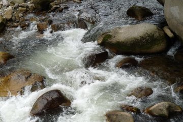 more rapids