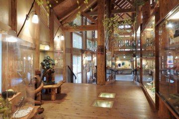 <p>The &#39;natural&#39; atmosphere of the museum is perfect for displaying forest-friendly kappa.</p>