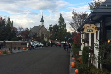 <p>The street lined with pumpkins for the Halloween season.</p>
