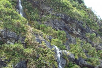 Taruma Falls
