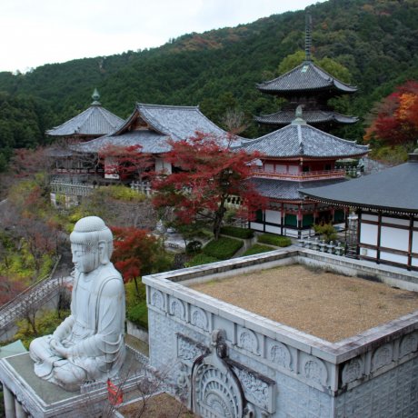 Nara's Tsubosaka Temple