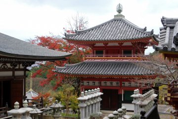 <p>The backside of the Jigendo Hall.</p>
