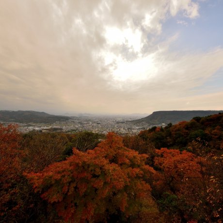 Đền Shikoku #85: Yakuriji