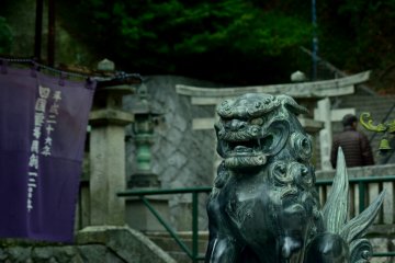 An awe-inspiring Japanese guardian lion-dog
