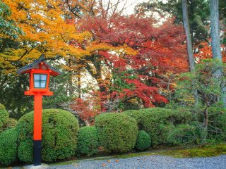 Warna-warni musim gugur yang indah di Kenkun Jinja.
