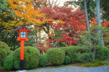 Beautiful autumn colors at Kenkun Jinja
