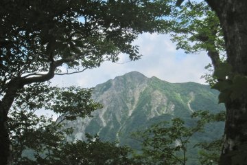 A sub-peak of Daisen is framed perfectly by the trees