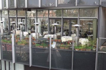 <p>An outdoor terrace belonging to one of the restaurants</p>
