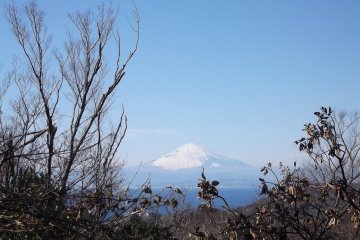 <p>On the climb up Mount Ogusu on the Miura Peninsula</p>
