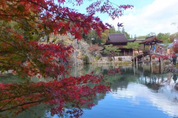 <p>Temple area in Autumn.</p>
