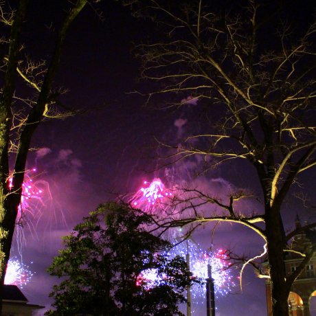 Huis Ten Bosch New Year's Countdown