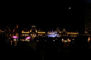 <p>The half moon was up in the night sky above the beautifully illuminated Huis Ten Bosch</p>
