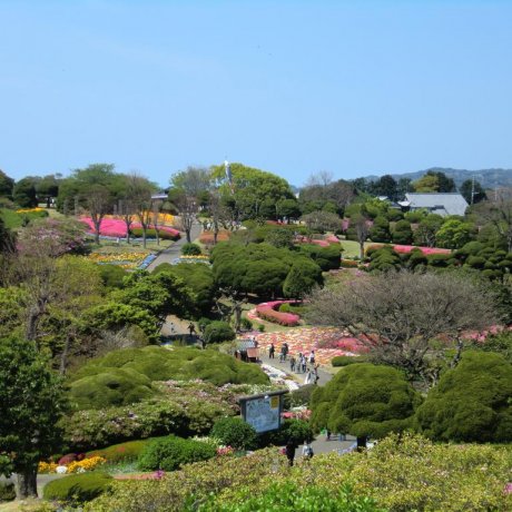 Noko Island Park