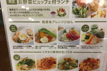 <p>Menu with the choices of main dishes</p>
