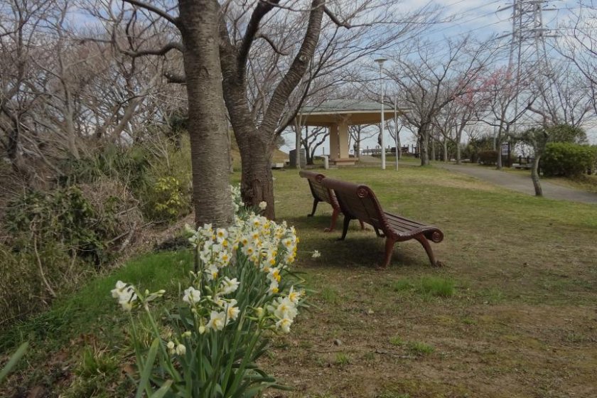 早春の塚山公園