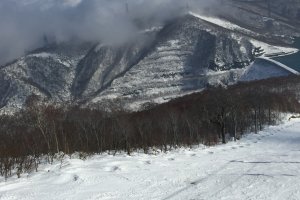 Panduan Ski (Nagano/Niigata/Gunma)