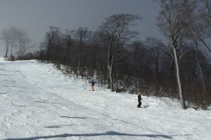 Panduan Ski (Nagano/Niigata/Gunma)