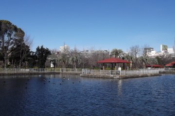 <p>There&#39;s plenty of water in the park</p>
