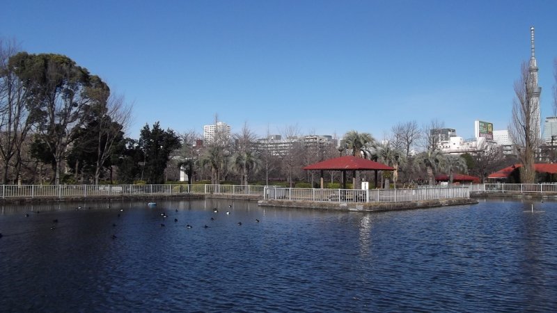<p>There&#39;s plenty of water in the park</p>
