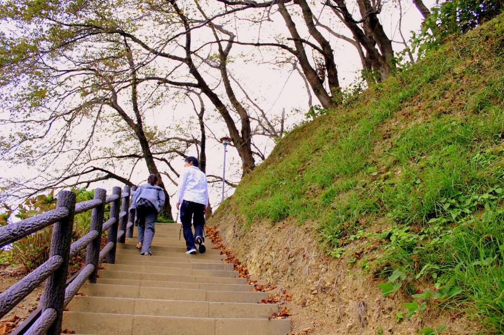 Những bậc thang dài dẫn lên công viên núi chắc chắn sẽ là một khởi động tốt cho những người leo bộ và chạy bộ