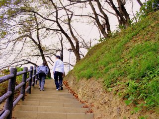 The long stairs going to the mountain park sure make a good warm-up for hikers and joggers