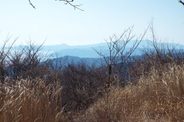View from the trail