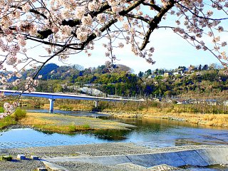 Vào một sáng mùa xuân bên dòng sông Tama, bạn có thể nhìn thấy cây cầu từ một cửa hàng gần bức tượng anh em Tamagawa