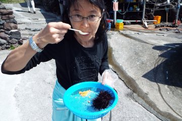 Enjoying fresh sea urchin