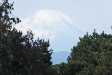 View of Mt Fuji from Children's Nature Park
