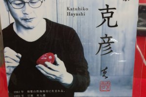 Hayashi Katuhiko is a Kishu Shikki celebrity. 