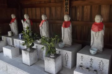 Buddhist statues sheltering from the morning sun