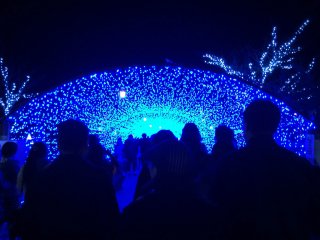 Visitors marvel at the "Miraie" winter holiday illumination in Tsuruga City. With its location near the Tsuruga Railway Museum and the newly renovated Tsuruga Red Brick Warehouse, this attraction makes the perfect end to a fun-filled day in Tsuruga City