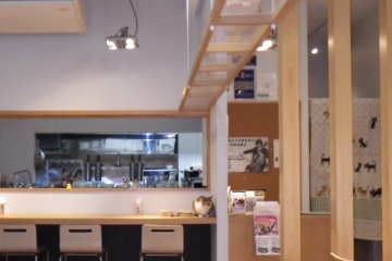 Staggered shelving on the wall creates a cat access ladder to an overhead, plexiglass "cat-walk" (above left). So you can watch the cats, but look around, look up -- are you being watched by a cat?