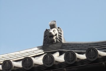 A lion's face watching from above