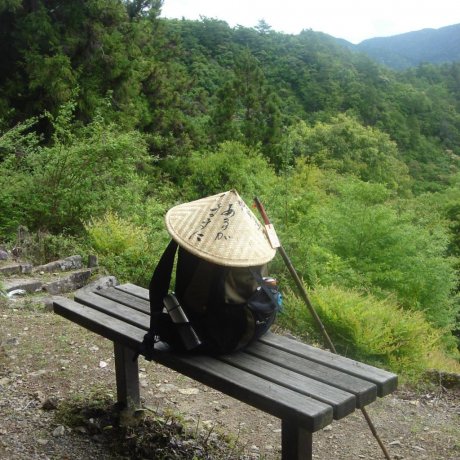 Kumano Kodo Pilgrimage Trails