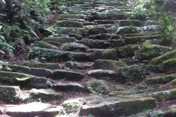 Old and moss-covered, seeminly endless stone steps - the characterisic sign of the Kumano Kodo trails