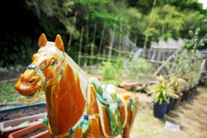 A horse and a vegetable garden